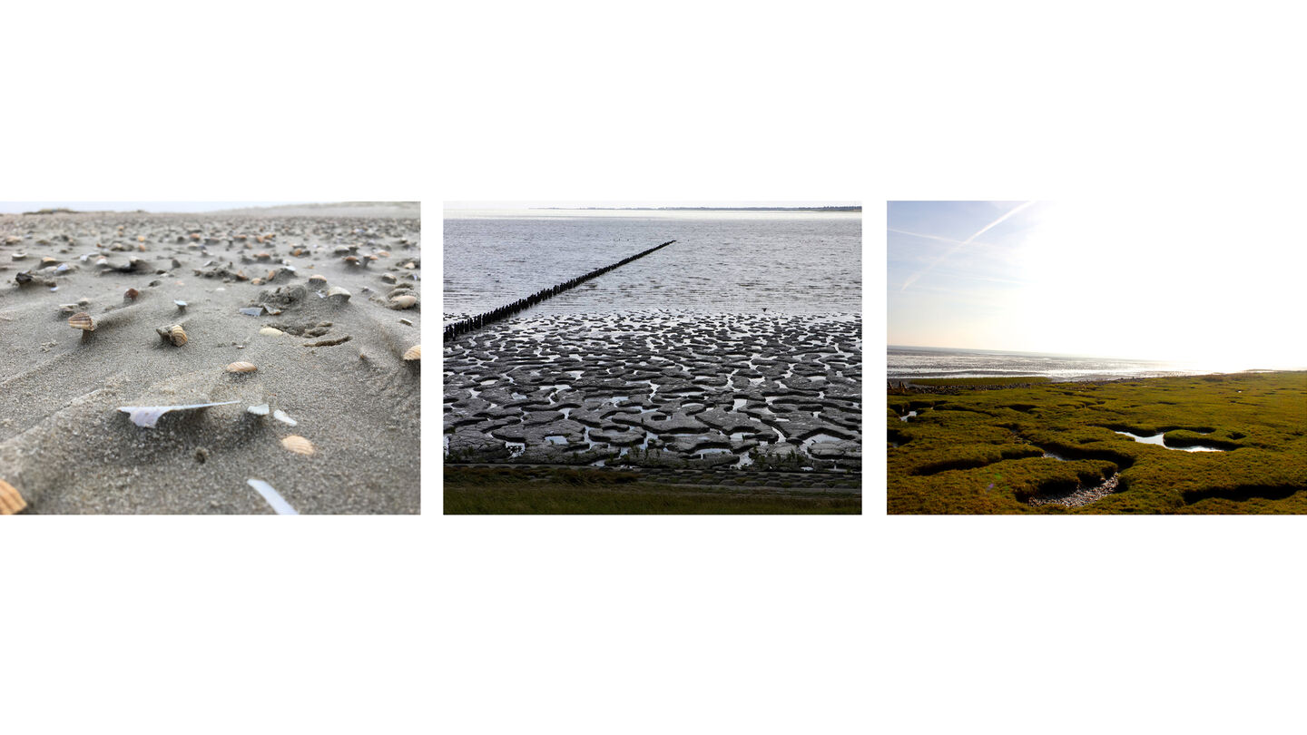 Romo Landscape L copy