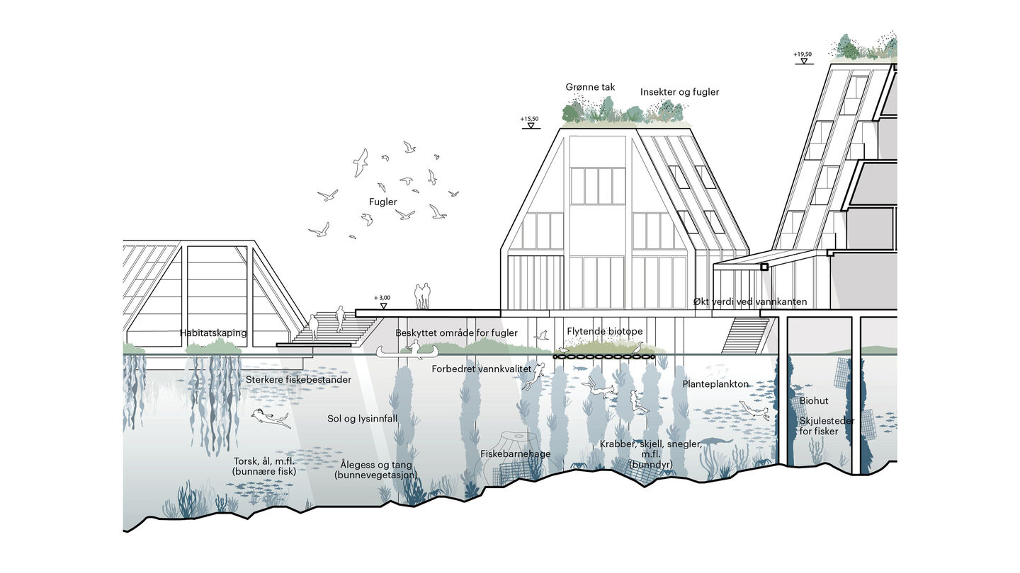 Gronlikaia biodiversitet large